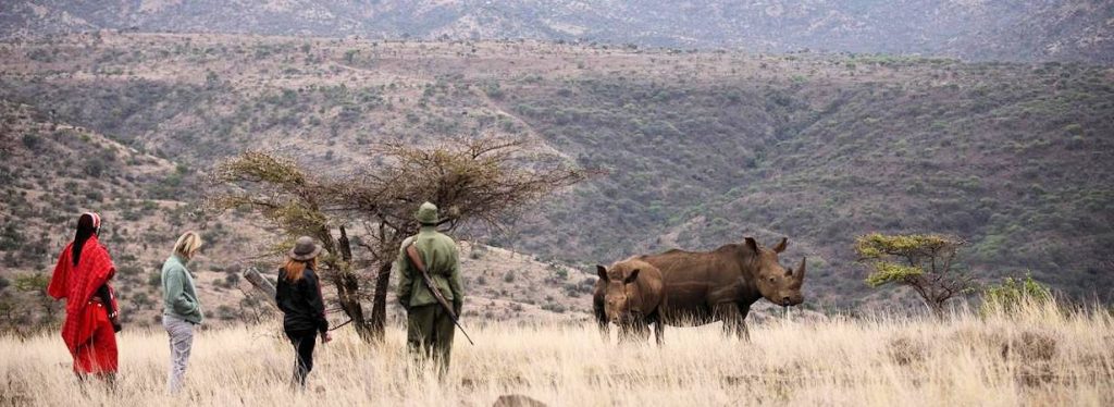 Laikipia-Plateau Rhino Mateys Wild Tours