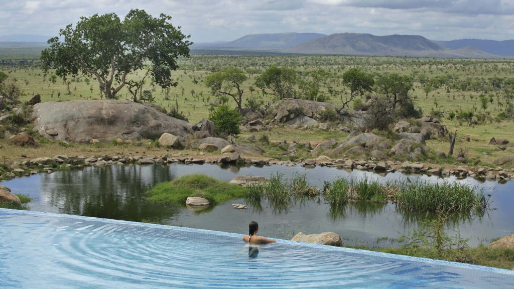 Four Season Serengeti-Mateys Wild Tours.