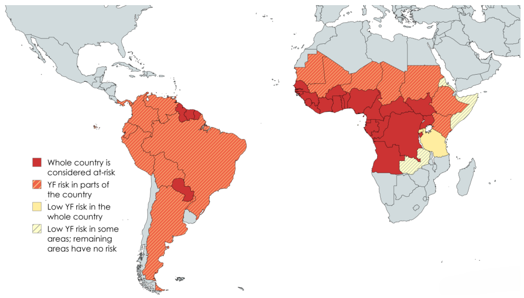 Global Map Showing Yellow Fever Endemic Region-Mateys Wild Tours.