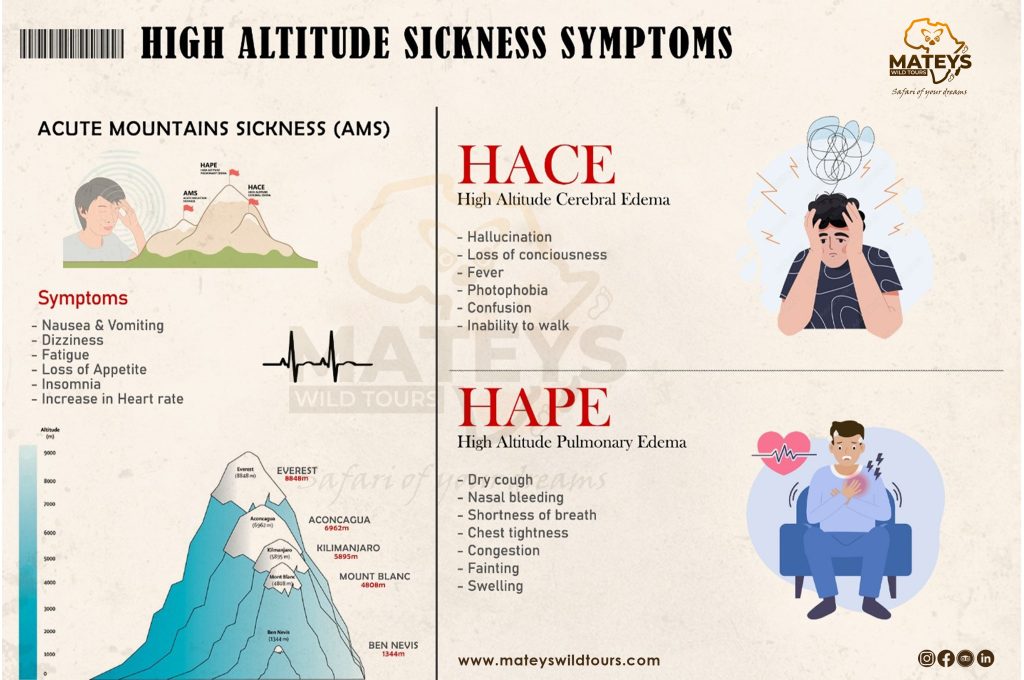 High Altitude Sickness Symptoms-Mateys Wild Tours.
