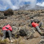 Altitude Sickness on Kilimanjaro, Causes & Prevention (2025 Guide).