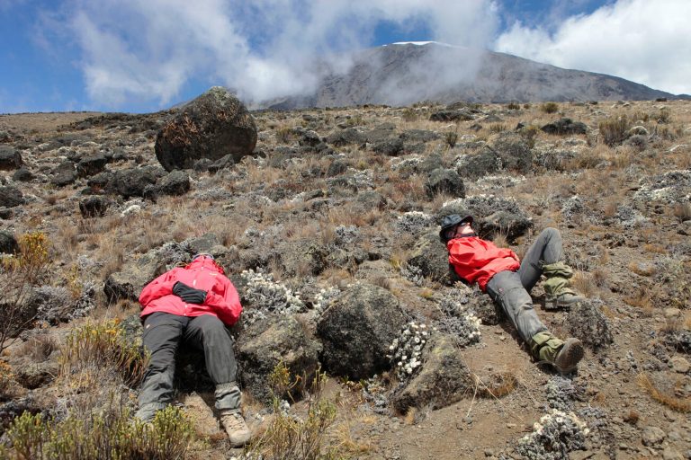 Hikers are laying exhausted of altitude sickness on the slopes of Mount Kilimanjaro-Mateys Wild Tours.