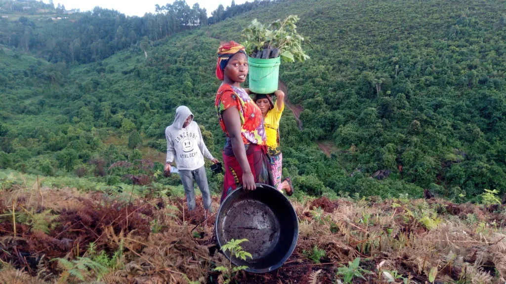 Magila Forest Reforestation Program-Mateys Wild Tours.