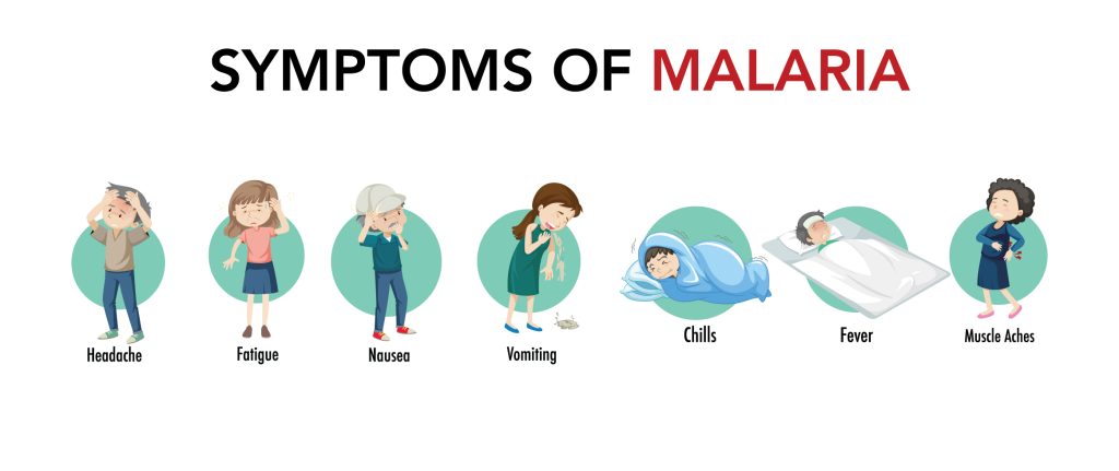 Malaria Symptoms-Mateys Wild Tours.