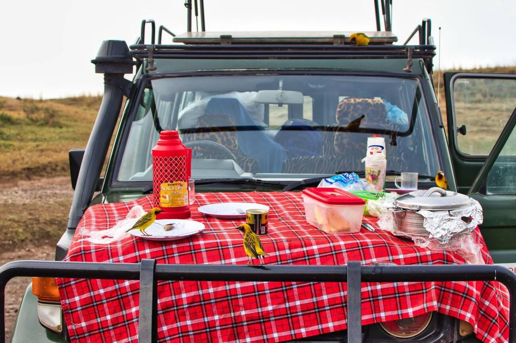 Weaver Birds Enjoying a picnic in a car inside Ngorongoro Crater.
