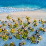 Best Time to Visit Zanzibar – Month-by-Month Guide (New Update).