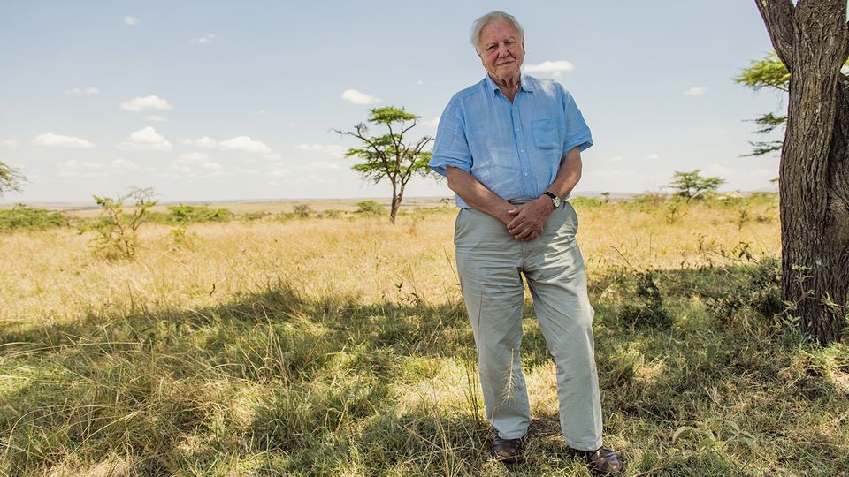 Sir David Attenborough