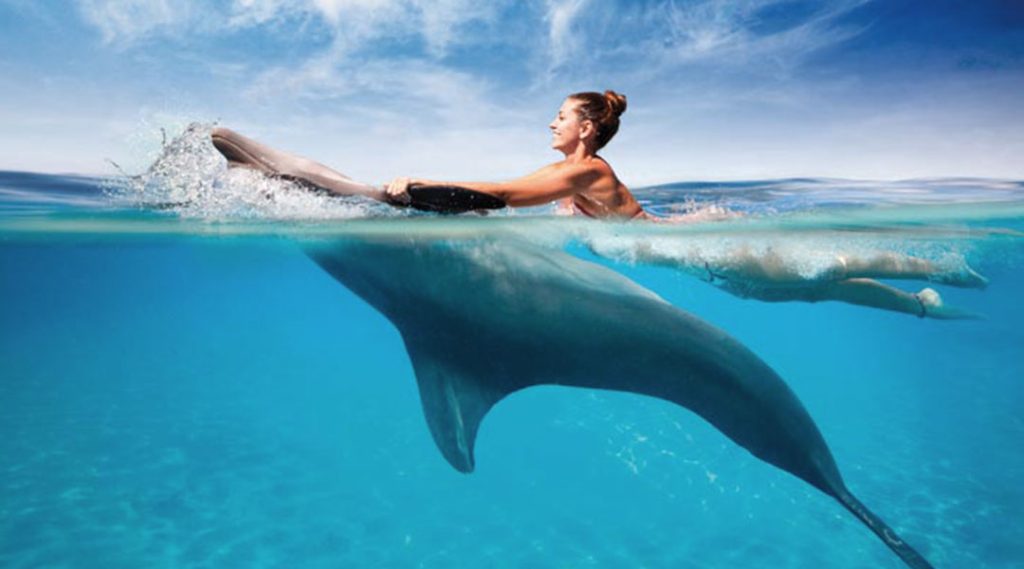 Dolphin Tour Day Trip-Zanzibar