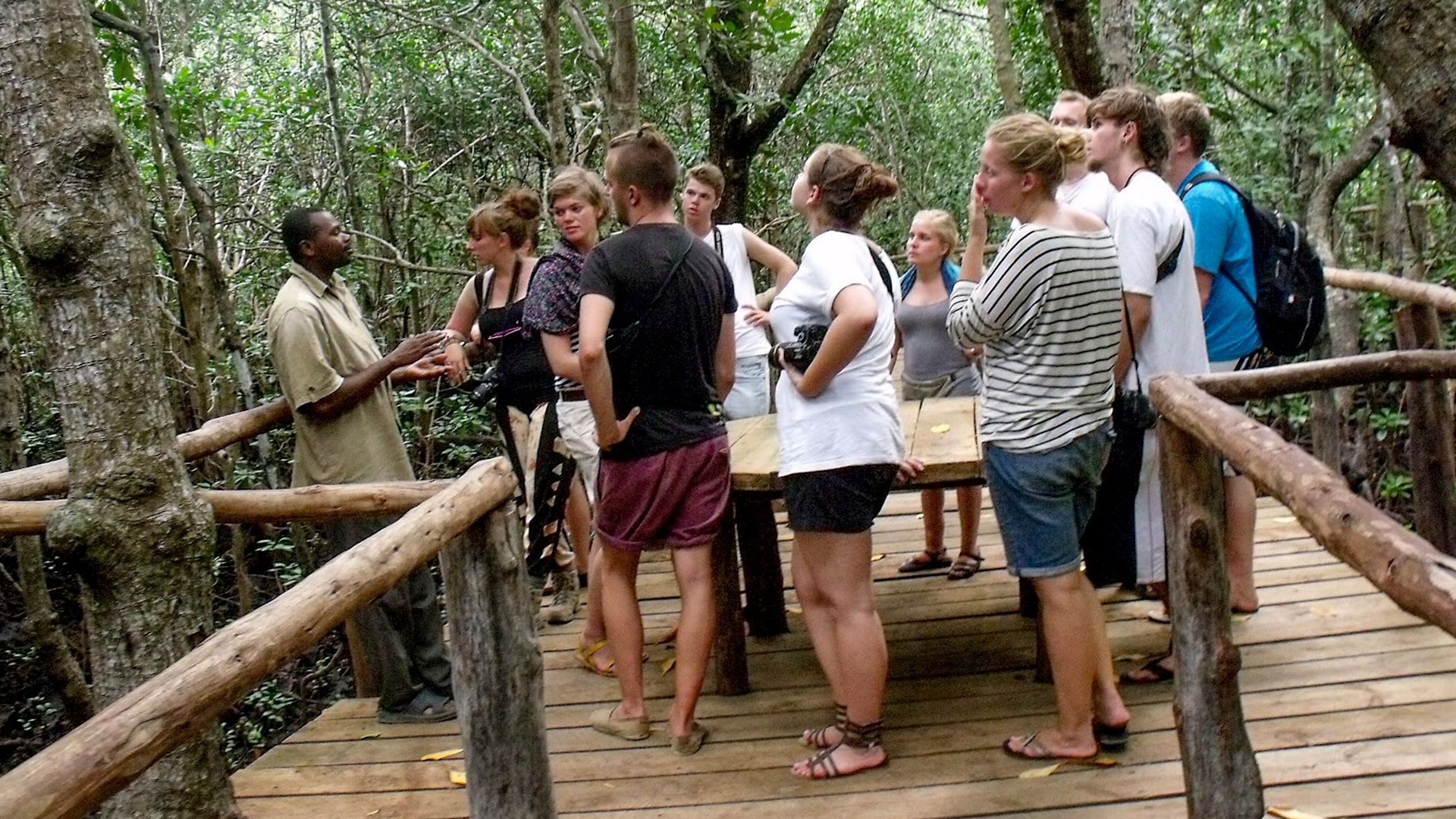 Jozani Forest Day Trip