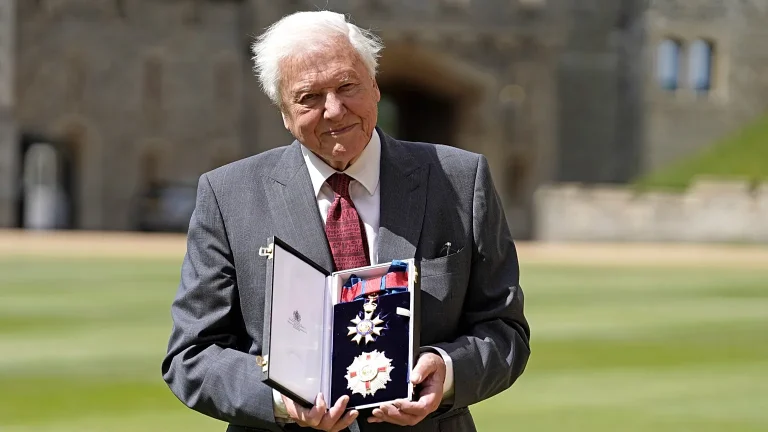 Sir David Attenborough's 100th Birthday.