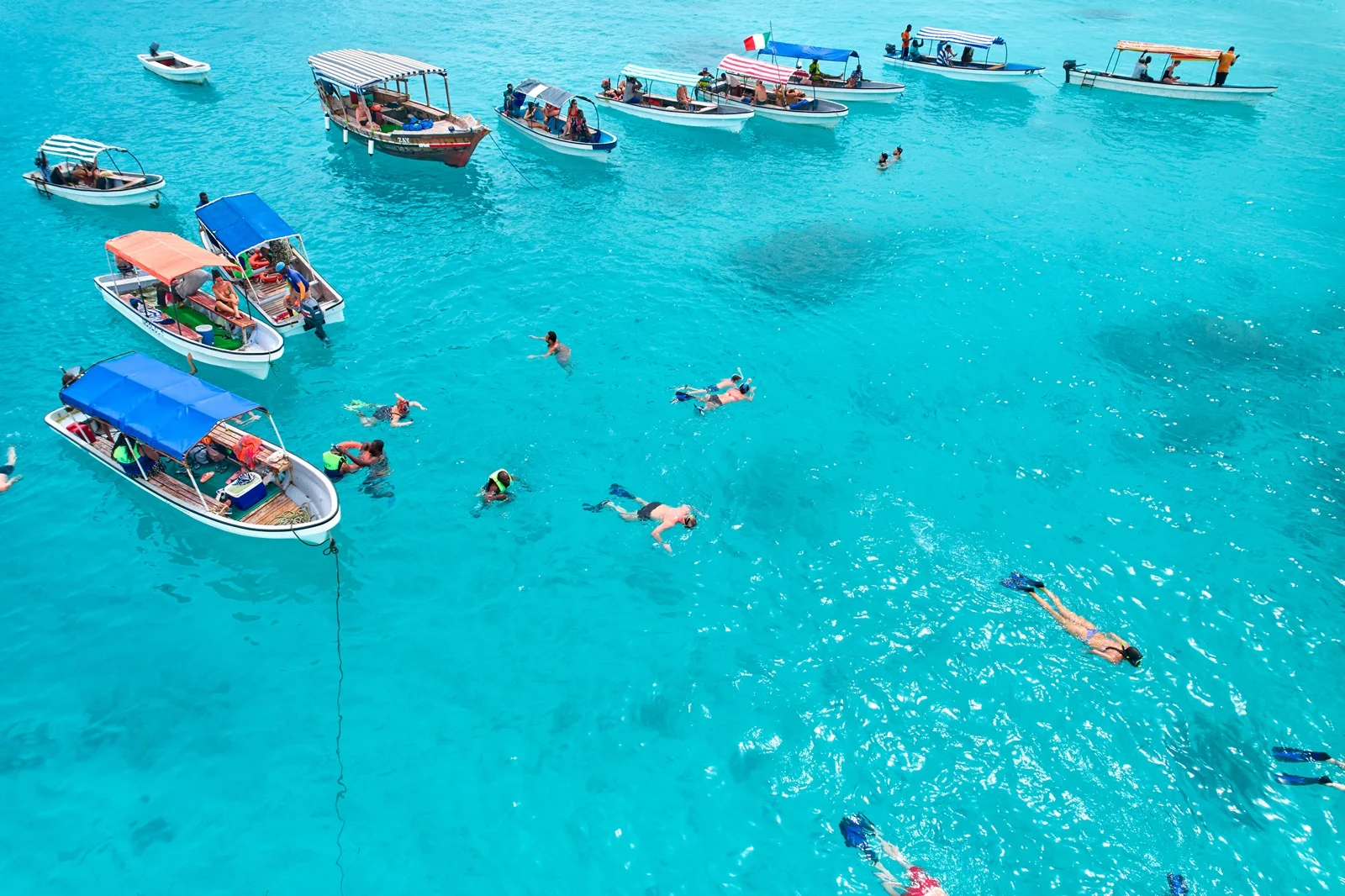 Snorkeling Mnemba Island Day Trip.