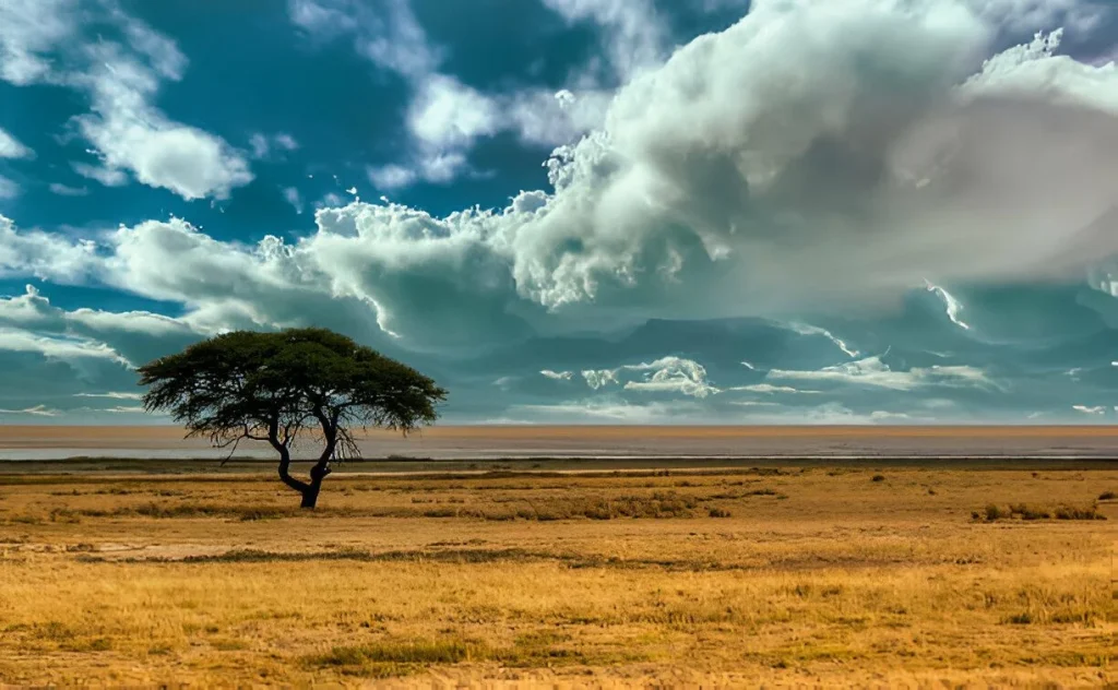 Tanzania Landscape in September