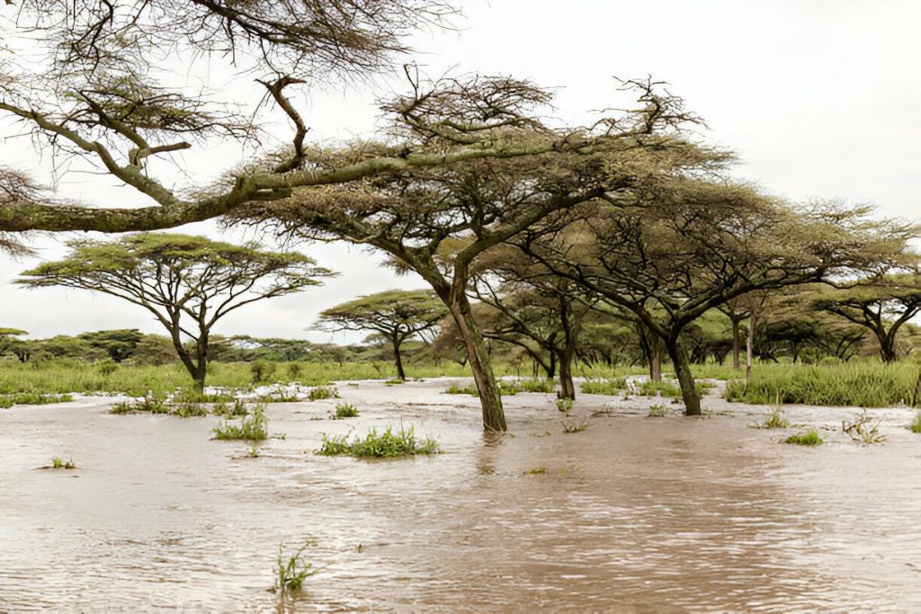 Tanzania Weather in April